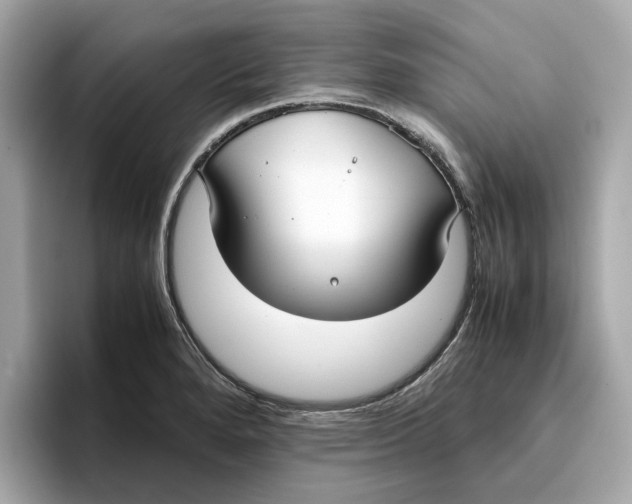 X0000096651280200802261312