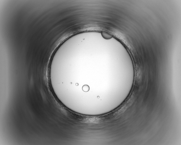 X0000096651282200802261312