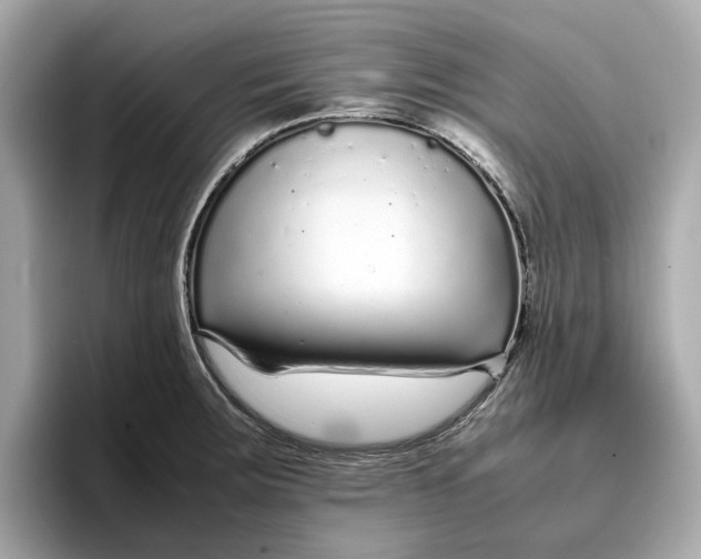 X0000096651283200802261312