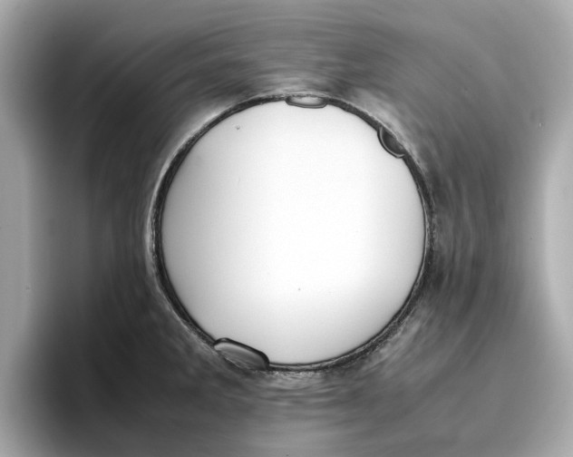 X0000096651285200802261312