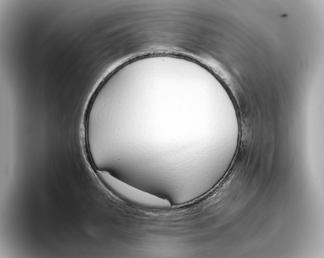 X0000096651287200802261312