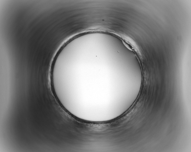 X0000096651288200802261312