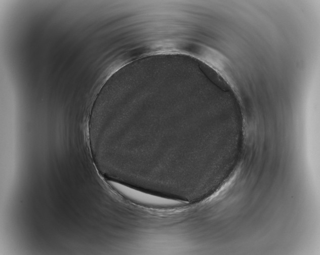 X0000096651289200802261312