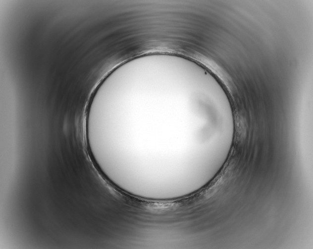 X0000096651290200802261312