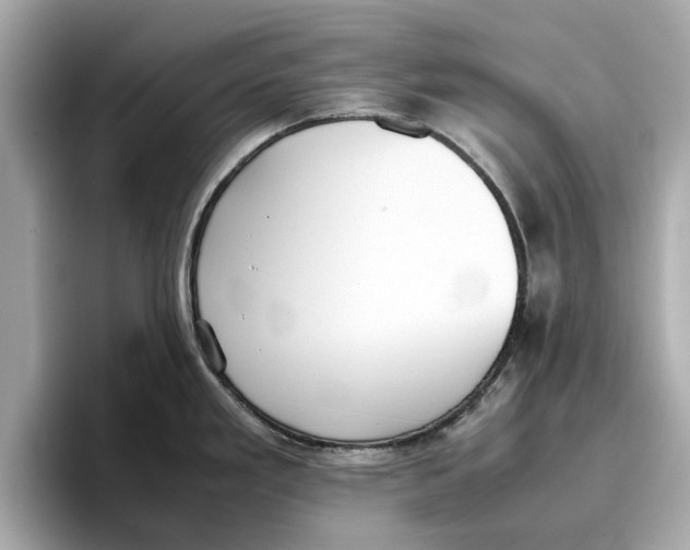 X0000096651293200802261312