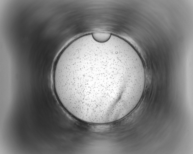 X0000096651294200802261312