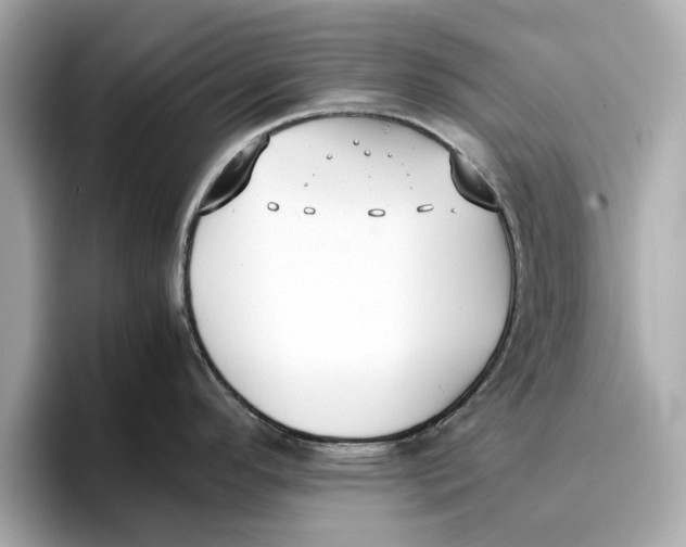 X0000096651296200802261312