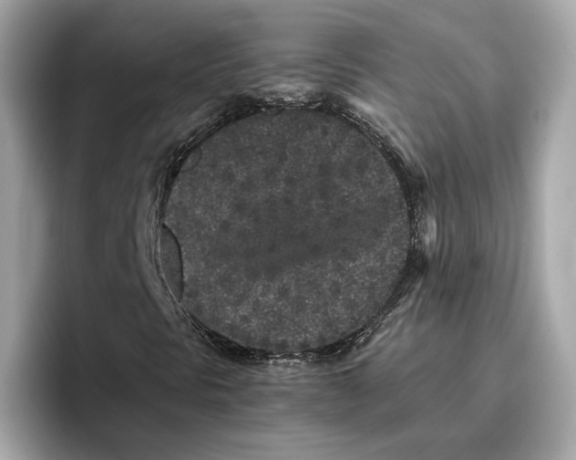 X0000096651297200802261311