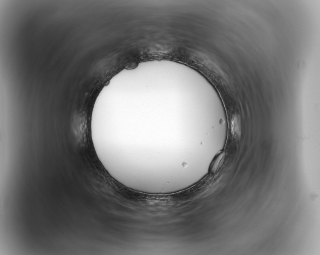 X0000096651299200802261311