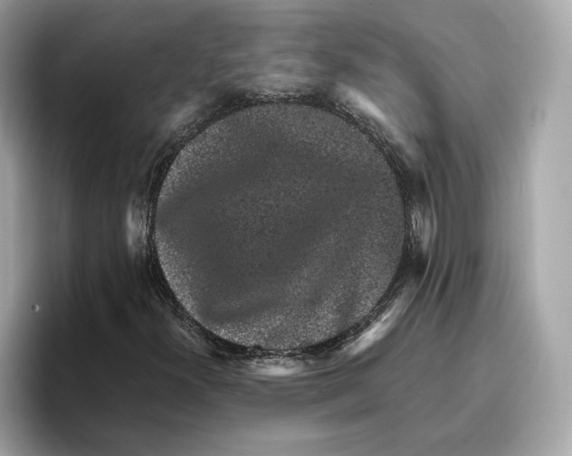 X0000096651300200802261311