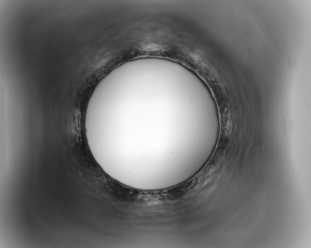 X0000096651301200802261311