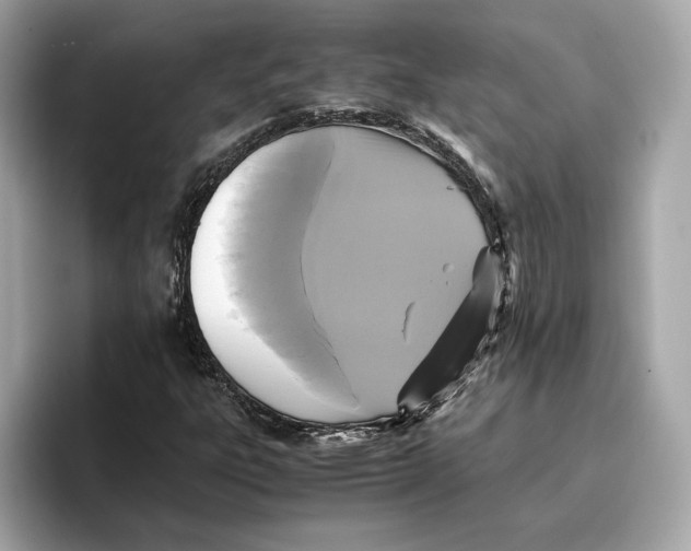 X0000096651303200802261311