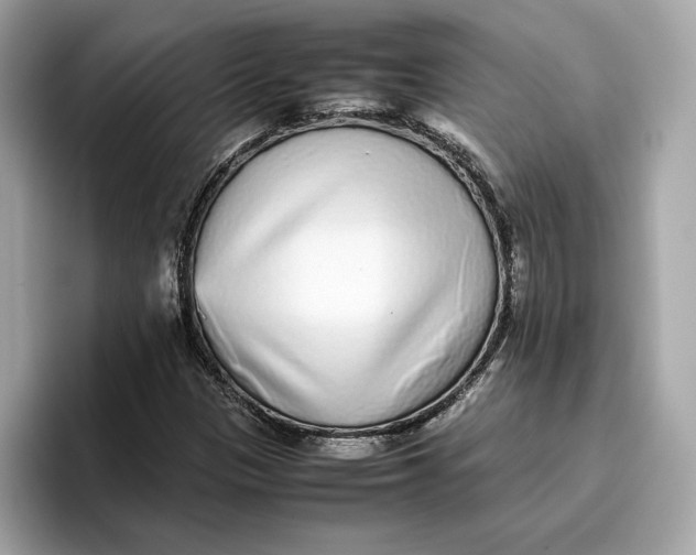 X0000096651305200802261311