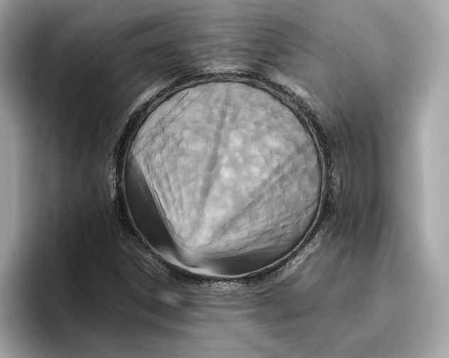 X0000096651306200802261311