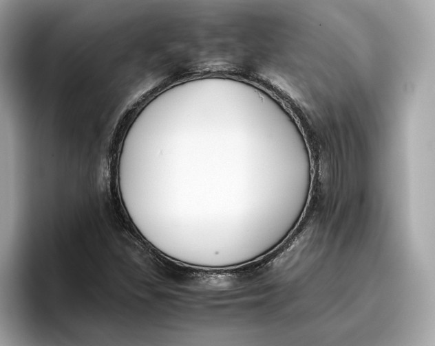 X0000096651309200802261311