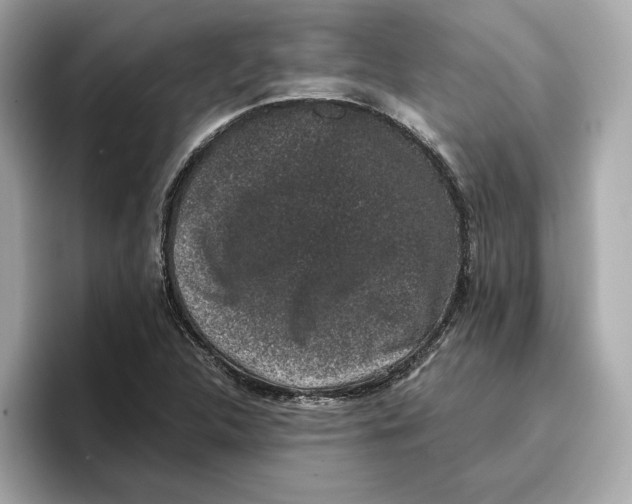 X0000096651312200802261311