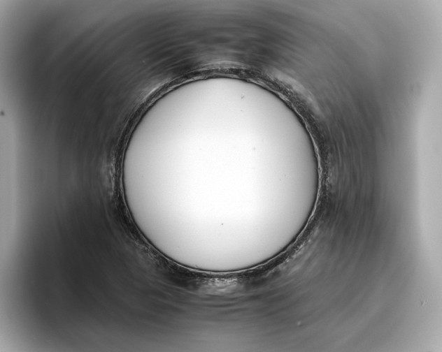 X0000096651313200802261311