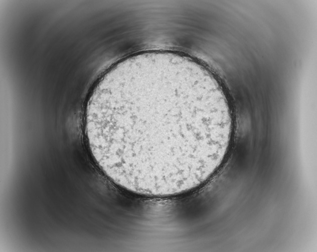 X0000096651314200802261311