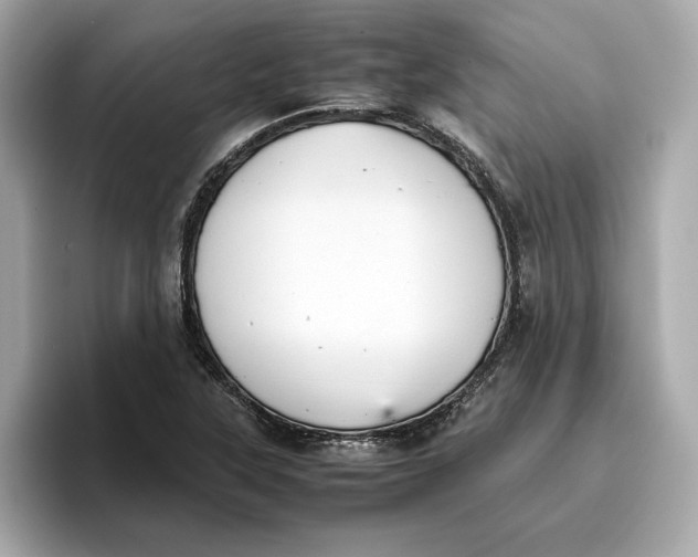 X0000096651315200802261312