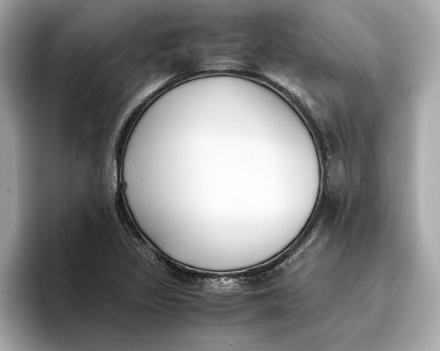 X0000096651317200802261312