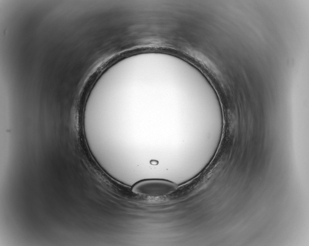 X0000096651318200802261312