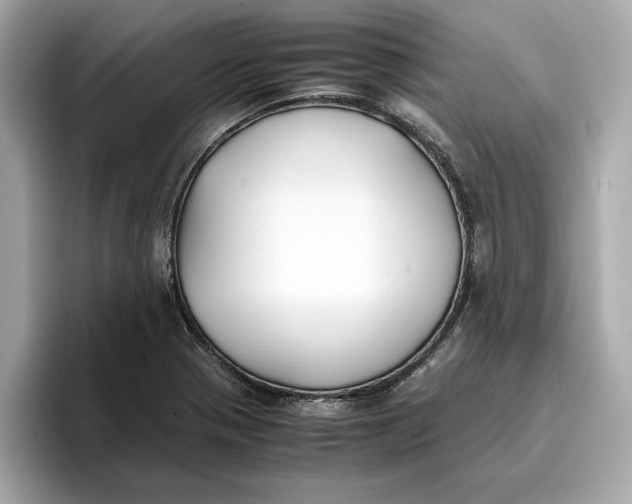 X0000096651321200802261312