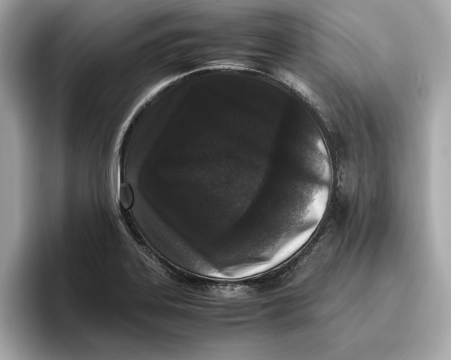 X0000096651323200802261312