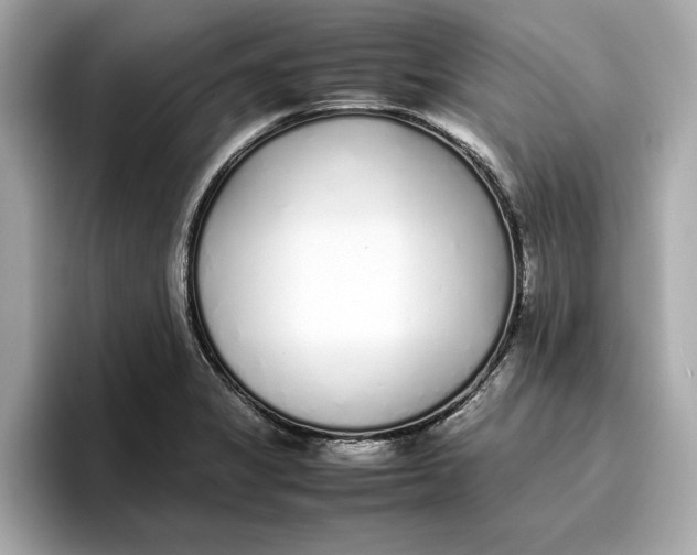 X0000096651325200802261312