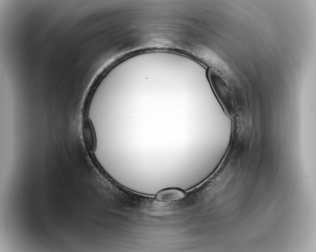 X0000096651326200802261312