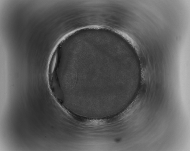 X0000096651327200802261312