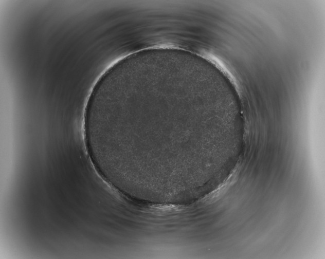 X0000096651331200802261312