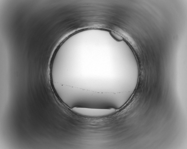 X0000096651332200802261312