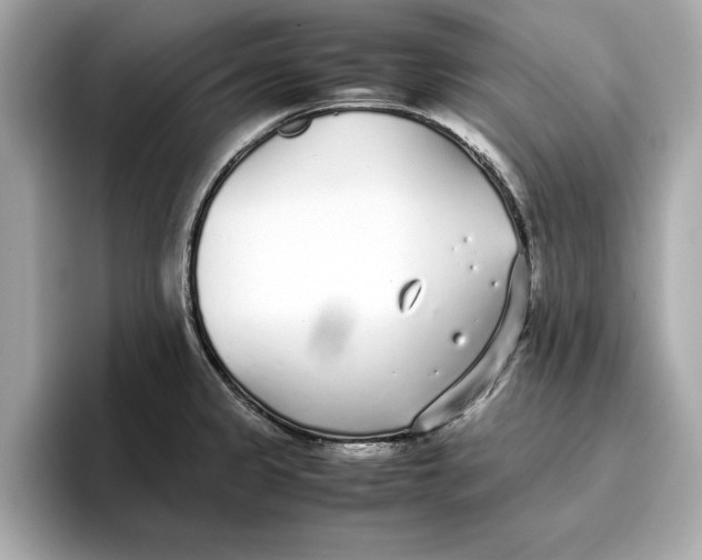 X0000096651333200802261312