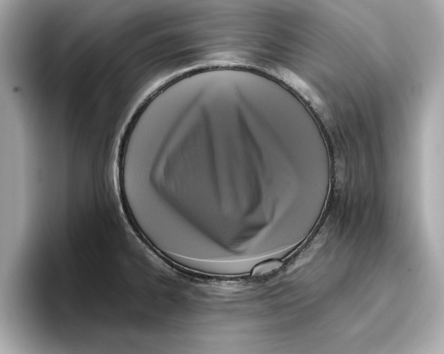 X0000096651334200802261312