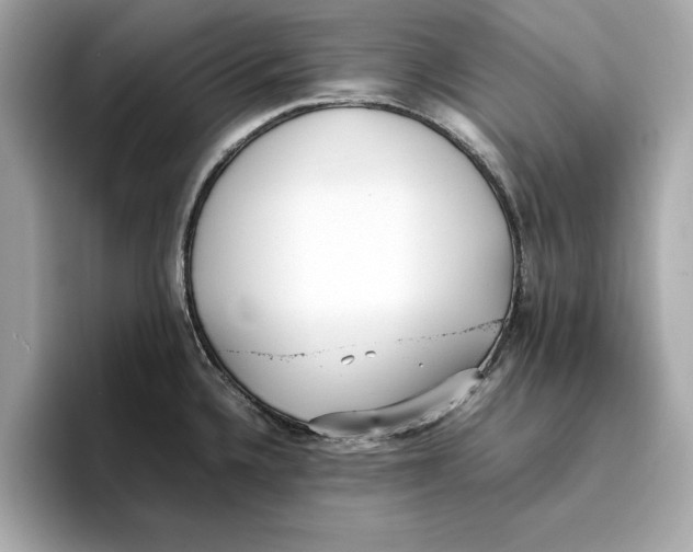 X0000096651336200802261312