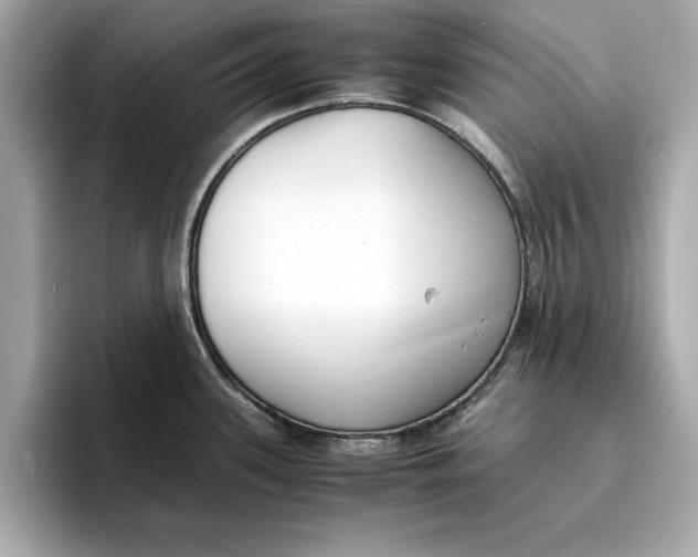 X0000096651339200802261312