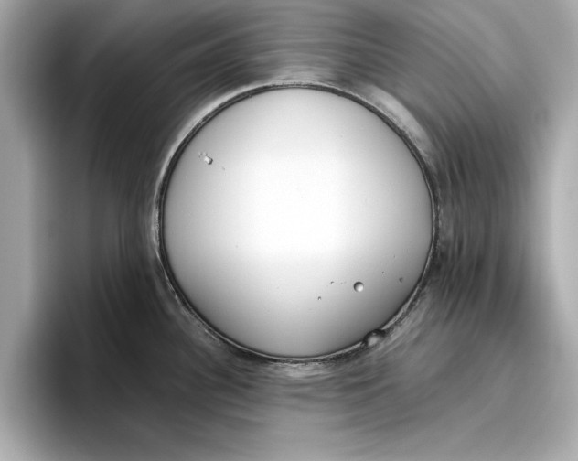 X0000096651340200802261312