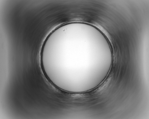 X0000096651341200802261312