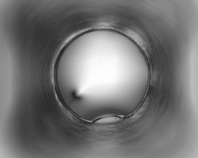 X0000096651342200802261312