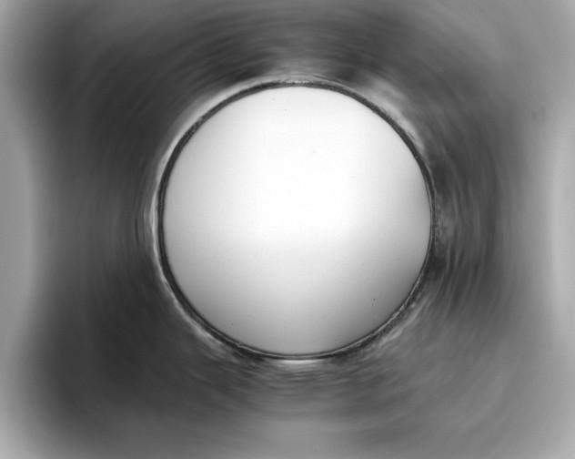 X0000096651343200802261312