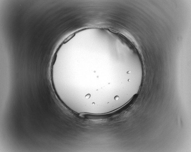 X0000096651344200802261312