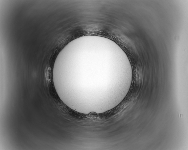 X0000096651346200802261311