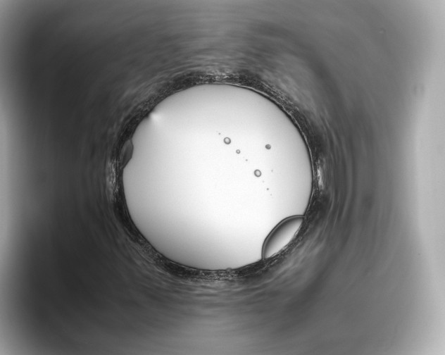 X0000096651347200802261311