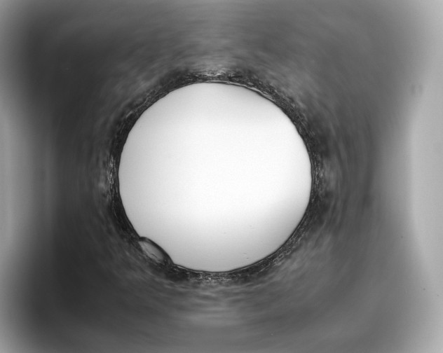 X0000096651349200802261311