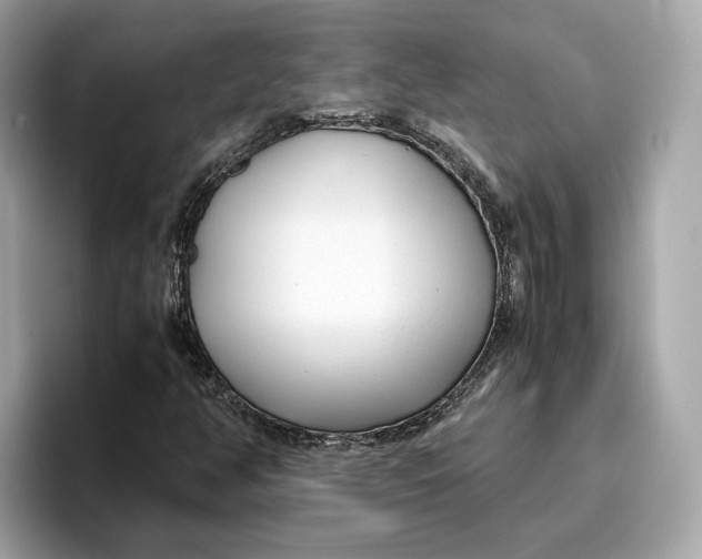 X0000096651350200802261311