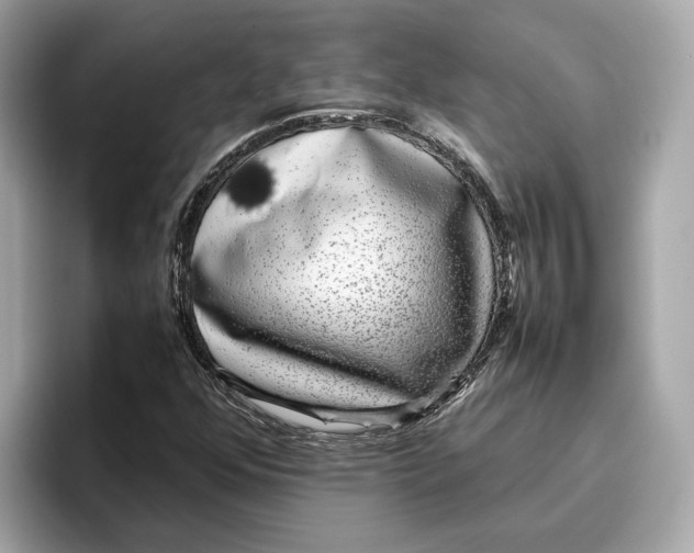 X0000096651352200802261311