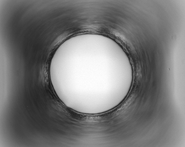 X0000096651354200802261311