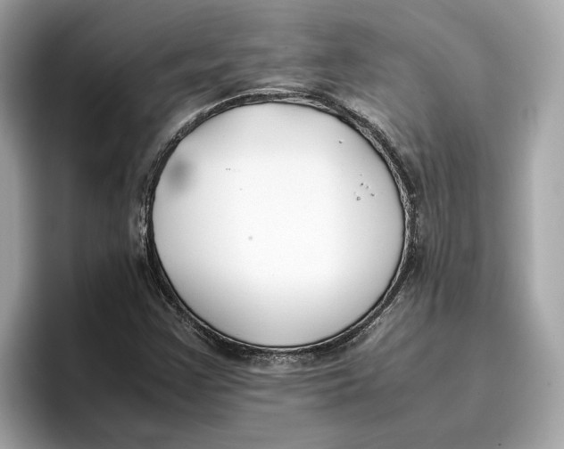 X0000096651355200802261311