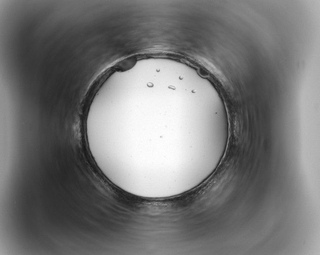 X0000096651356200802261311