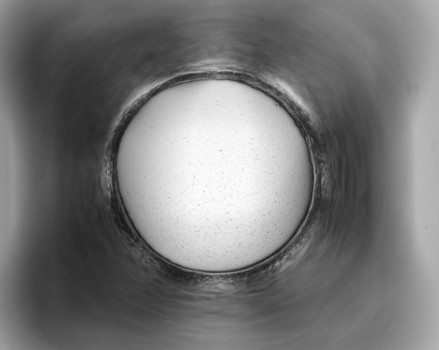 X0000096651358200802261311